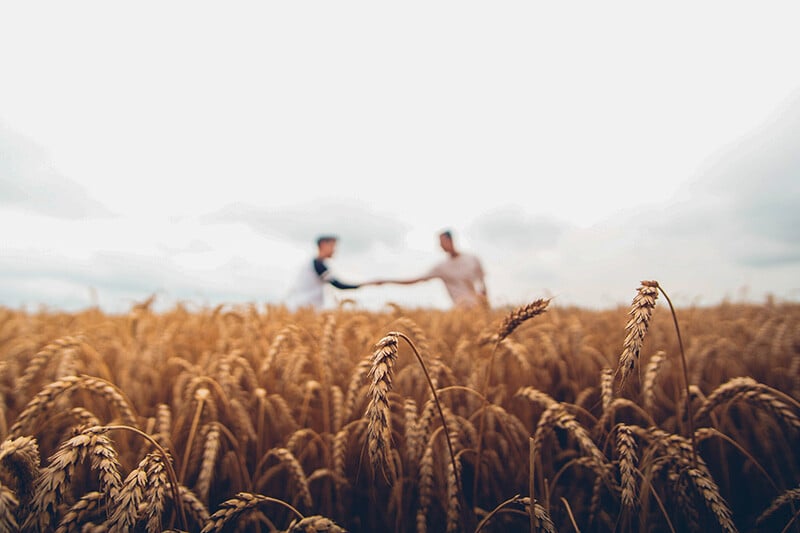Two professionals shaking hands across a rural wheat field, symbolizing client connections and networking ideas for land brokers using Acres.