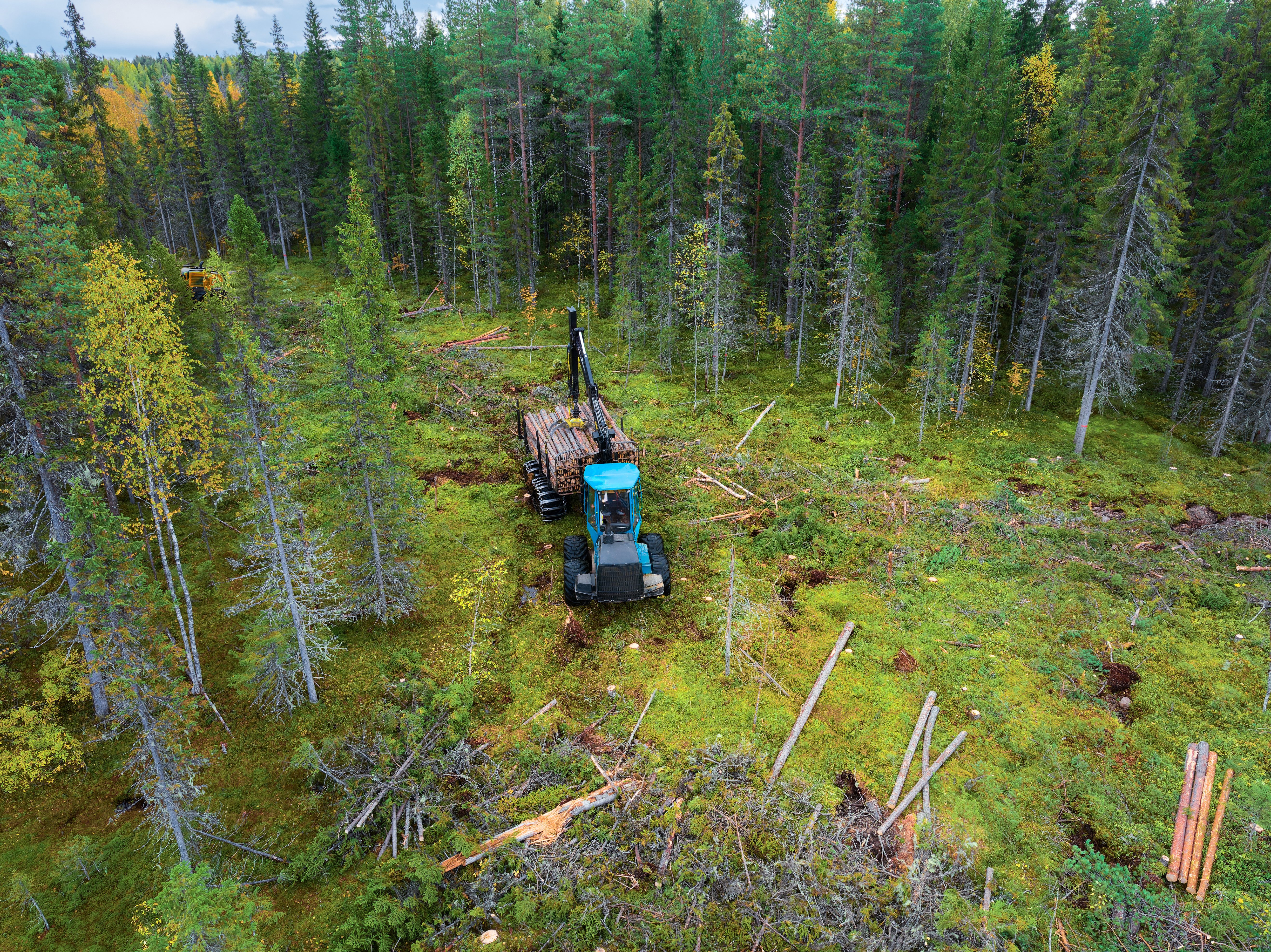 Aerial view of a timber harvesting machine loading felled logs in a managed forest, illustrating institutional timberland investment in the Southeast and Pacific Northwest for long-term cash flows
