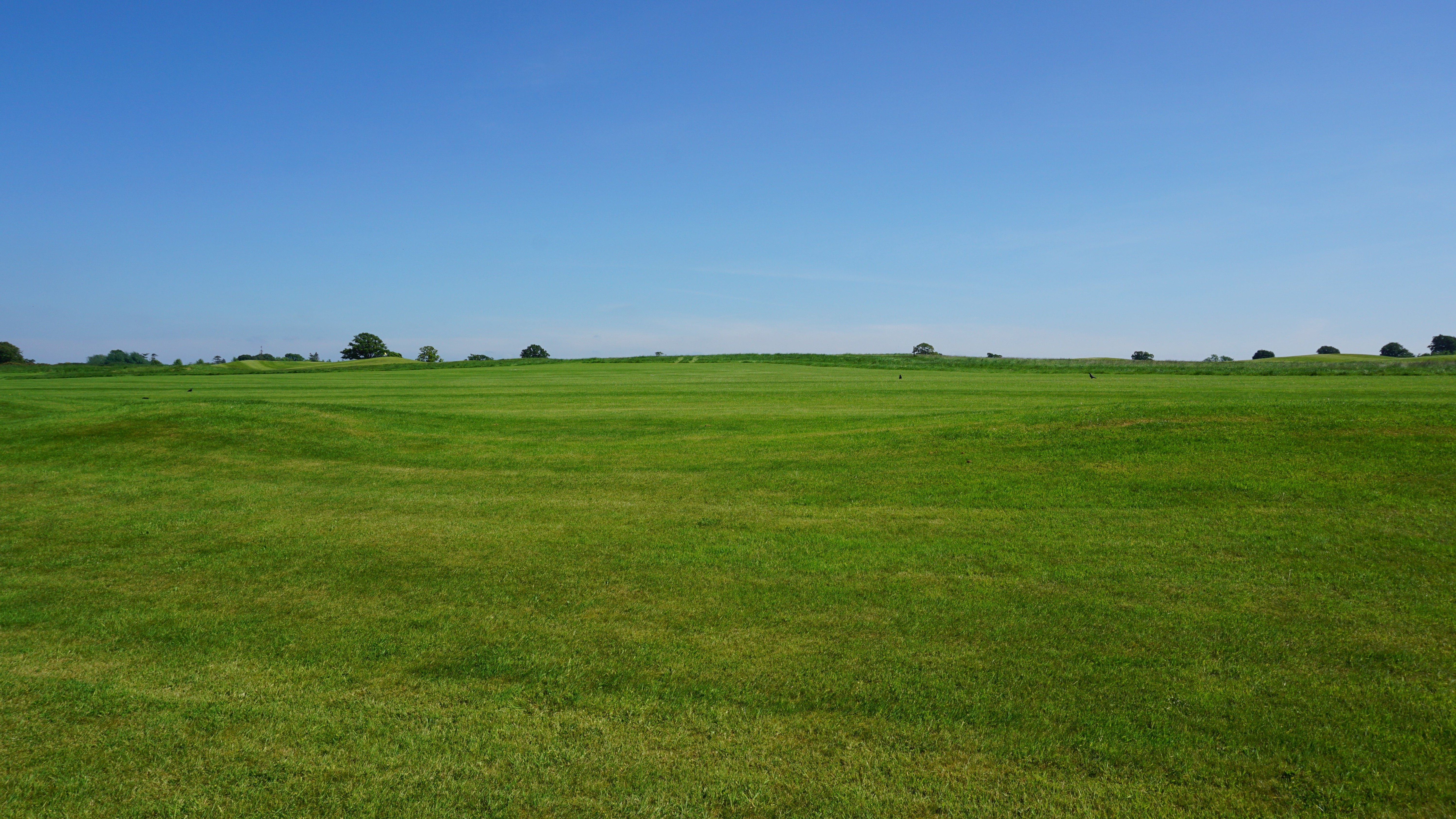 A vast, rolling green field of vacant raw land under a clear blue sky, illustrating the natural scarcity and long-term value of land assets.