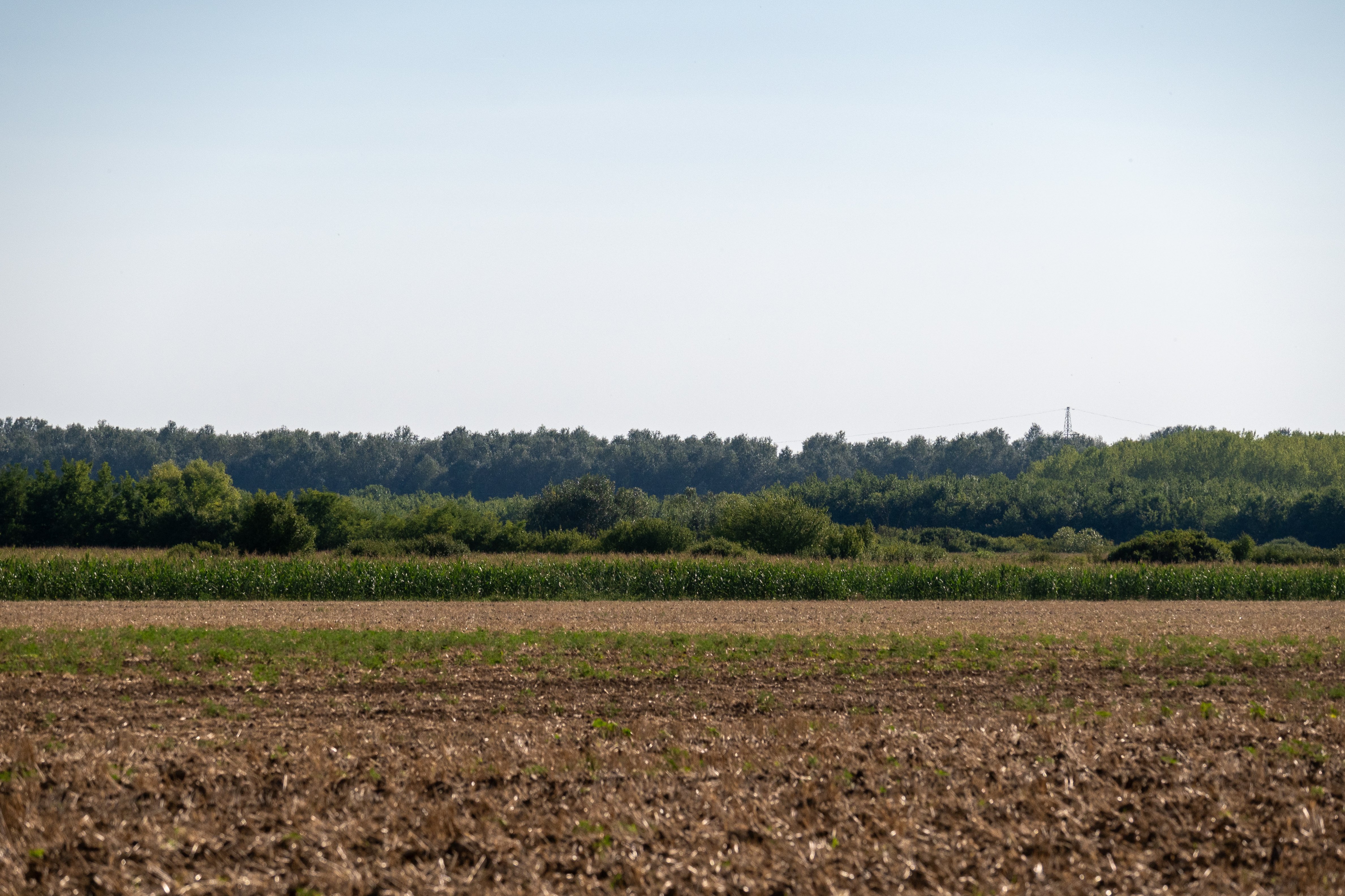 An expansive rural landscape showing tilled soil, a row of green crops, and a distant treeline, illustrating the diverse potential of land investing and agricultural asset strategies.