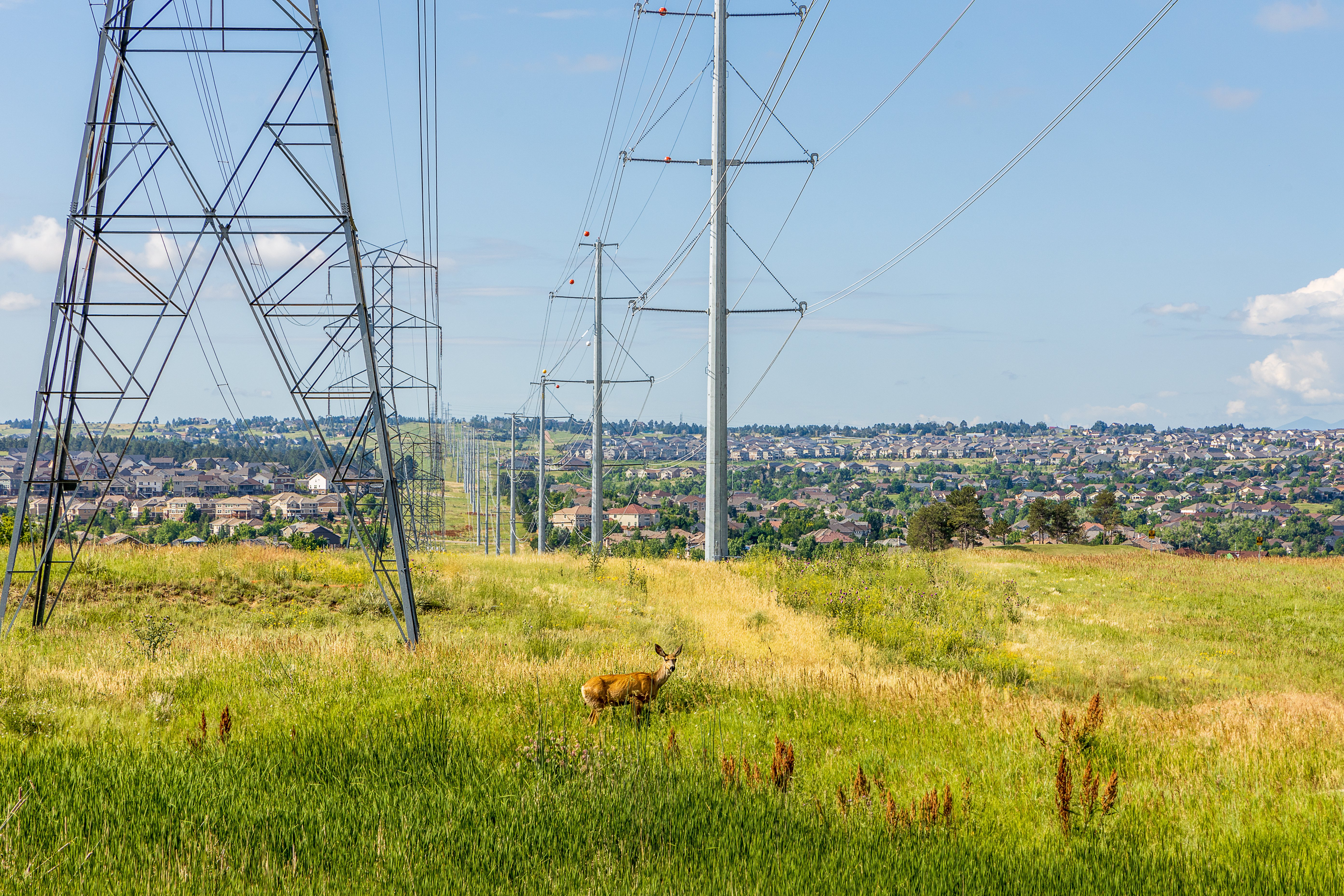 AdobeStock_443702444 (1)