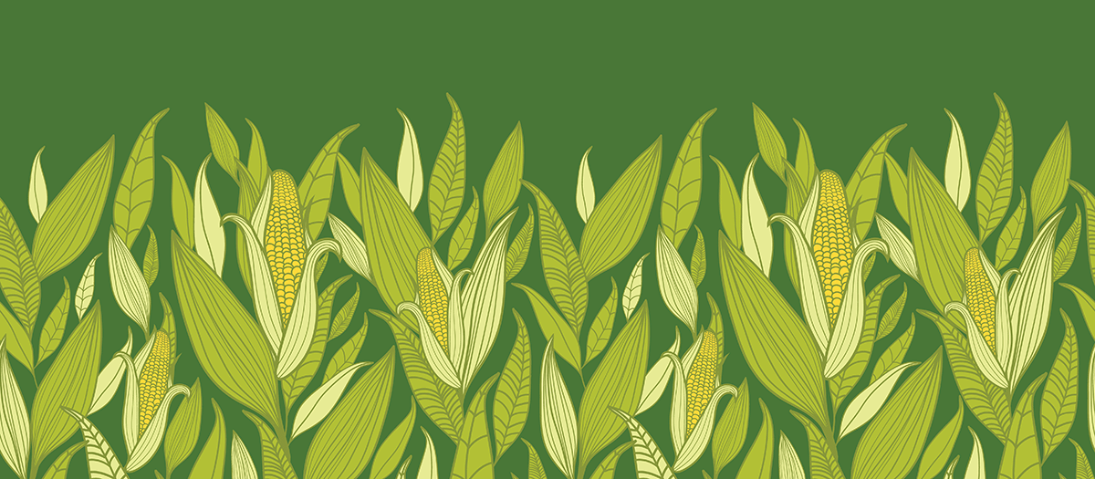 Wheat graphic to represent 8-state Heartland farmland market analyzed in the Acres transaction-based land values report.