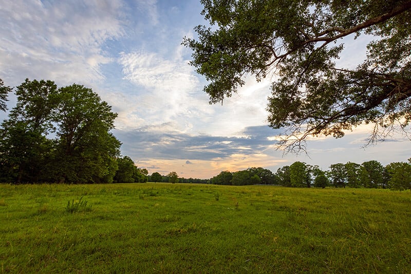Open green pastureland in Washington County, Georgia, representing the 43.9-acre industrial property that sold for $1.7M, highlighting industrial land sales activity and economic growth in the region