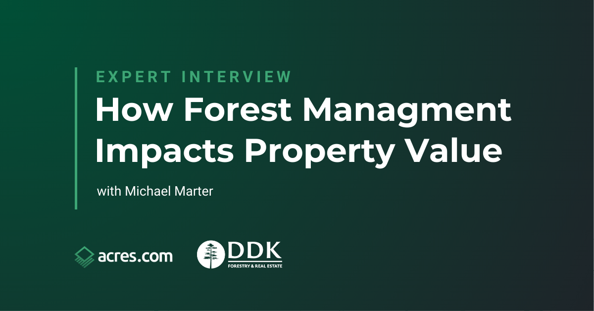 'Michael Marter of DDK Forestry discussing how forest management impacts timberland property value with Acres