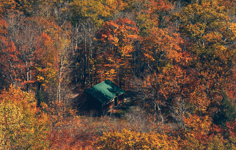 Rural cabin with green metal roof surrounded by autumn forest, representing land ownership secured by a property deed