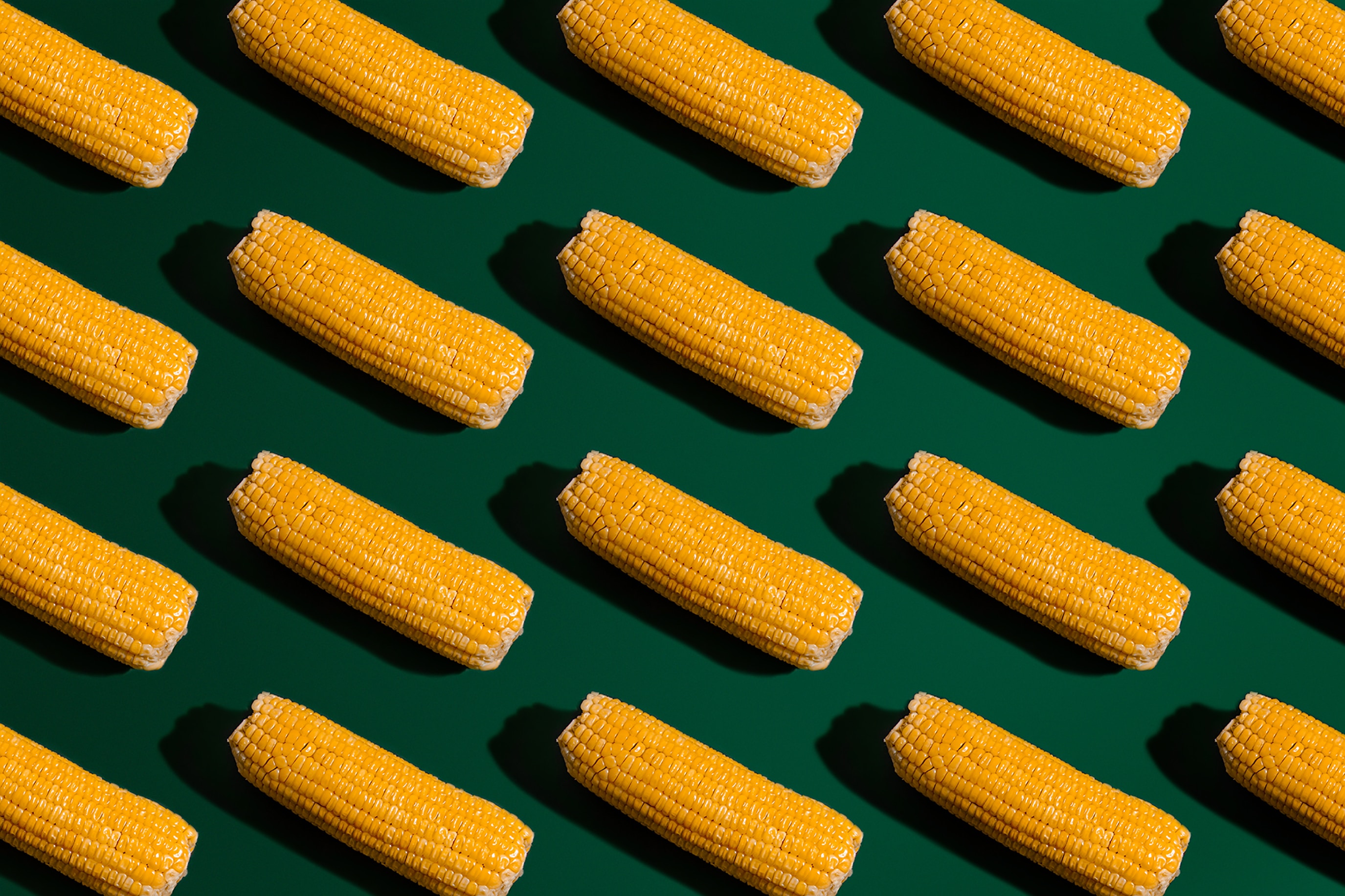 Repeating pattern of corn cobs on green background representing Midwest corn belt farmland values and agricultural land market trends