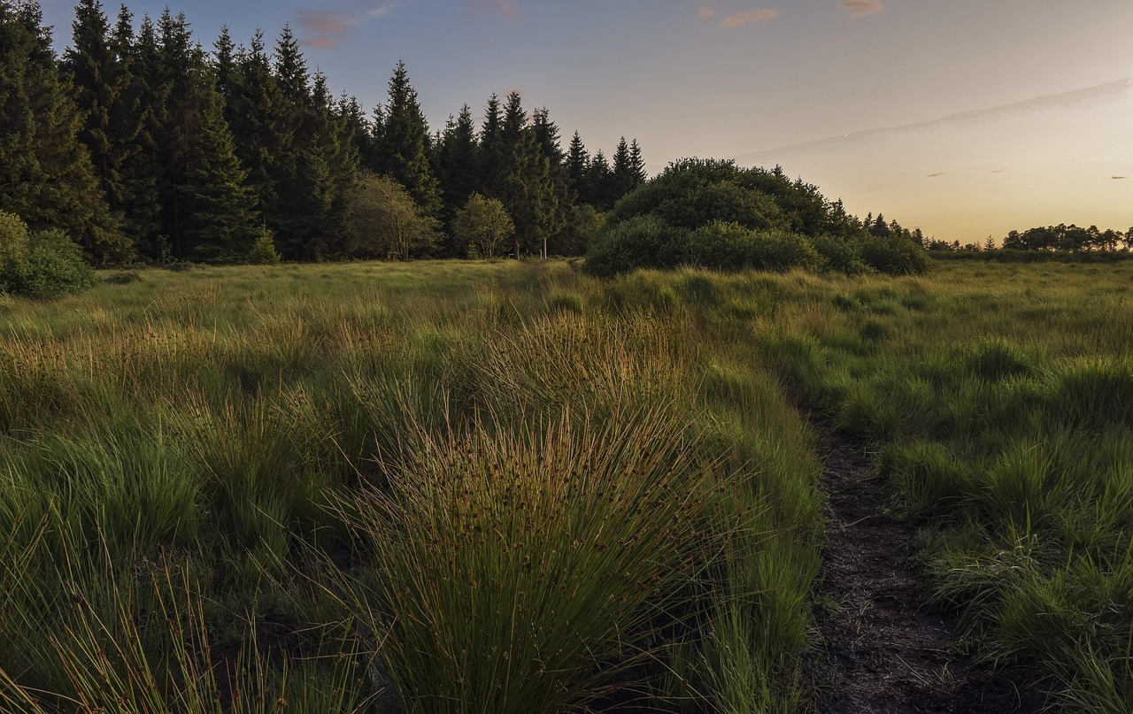 Scenic raw land marketing for land listings