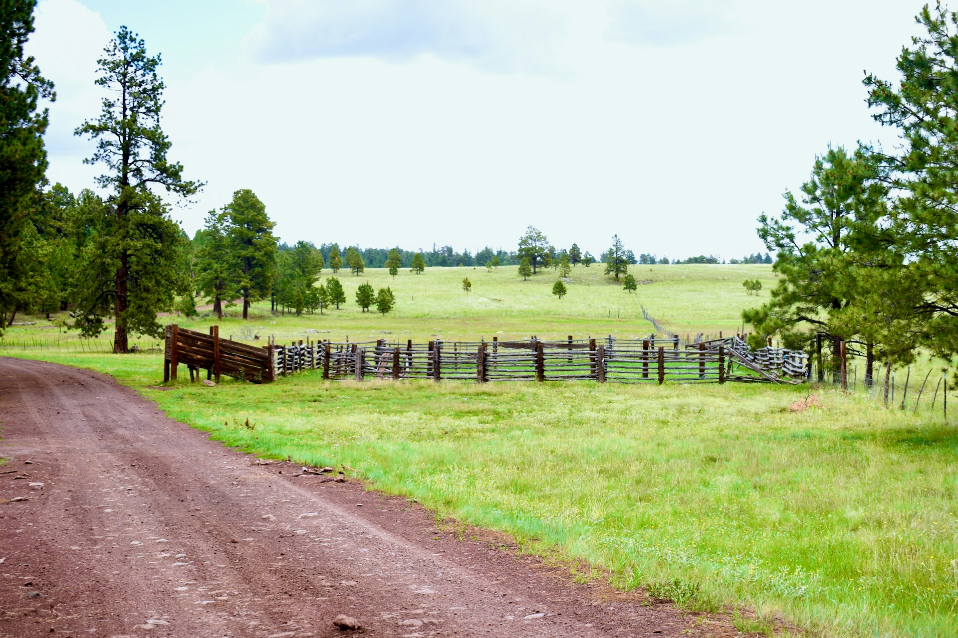 Agricultural land representing understanding how property tax, capital gains, and estate tax affect their land investment