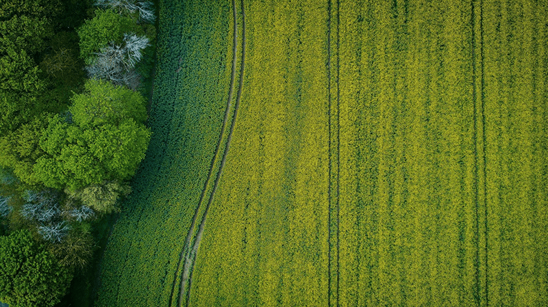 Rural farmland parcel for sale illustrating the process of selling land from pricing through closing