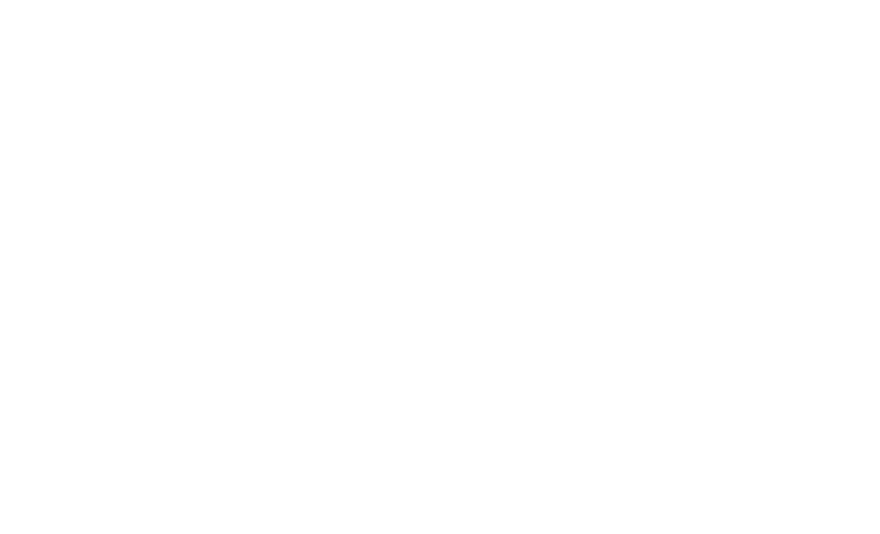 Nat Sales Data FFF