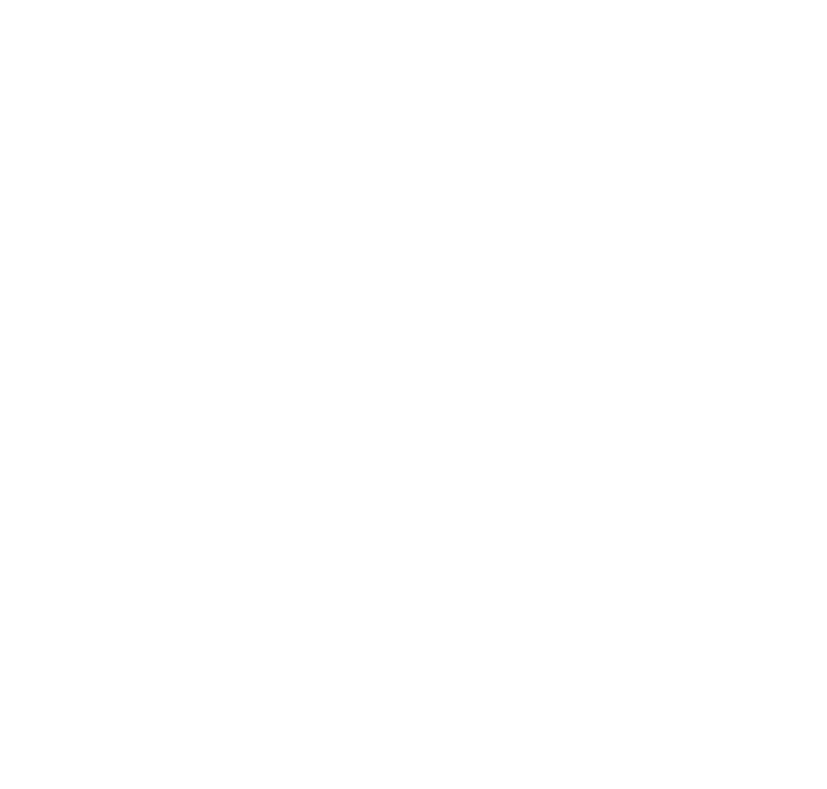 Offline maps icon